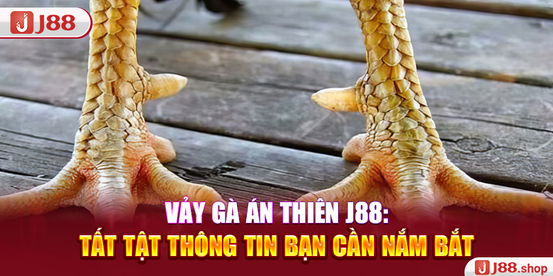 Vảy Gà Án Thiên J88: Tất Tật Thông Tin Bạn Cần Nắm Bắt